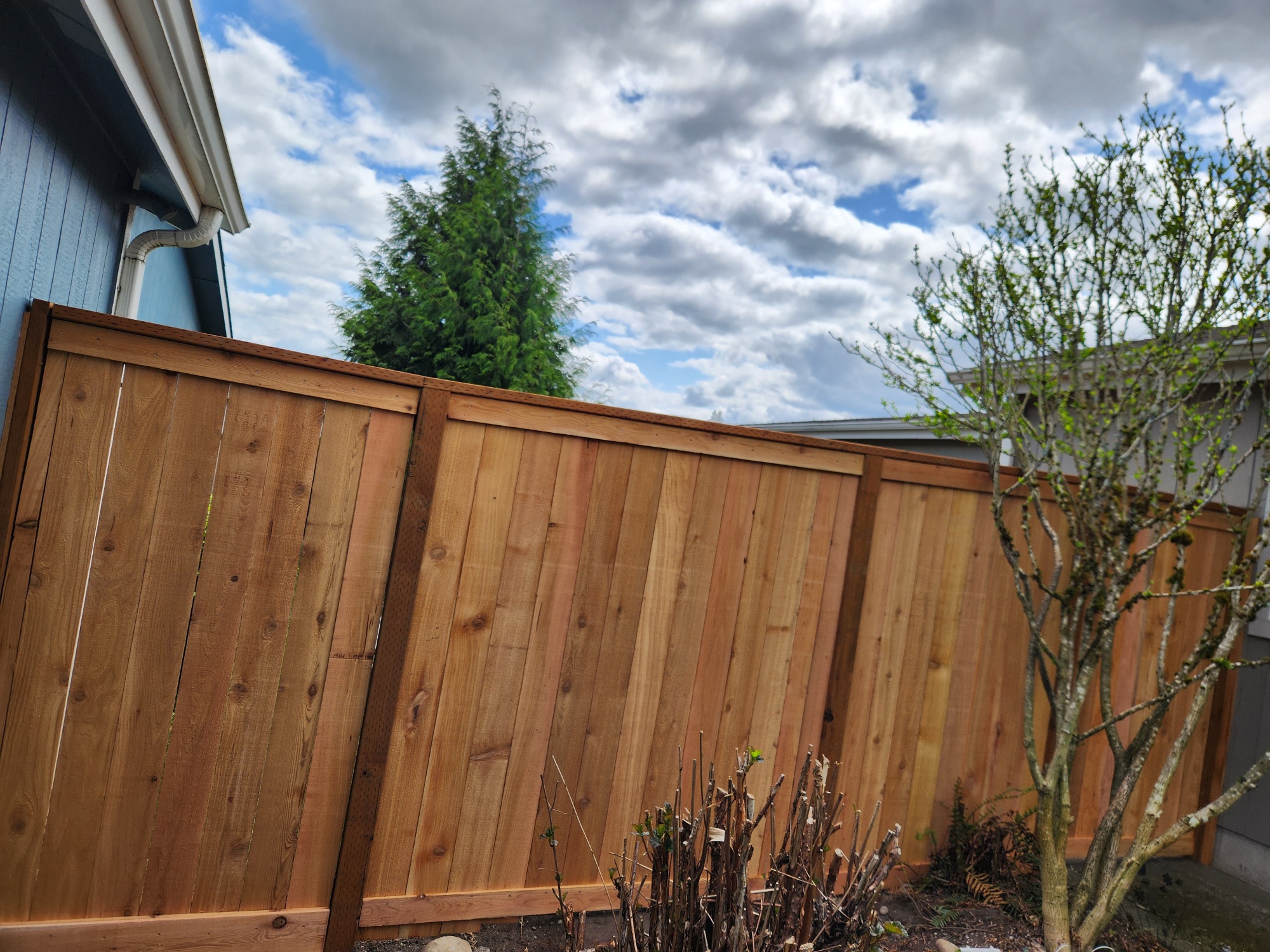 Fence build
